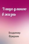 Владимир Фридкин - Улица длиною в жизнь
