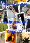 Алексей Курбак - Продолжение не следует
