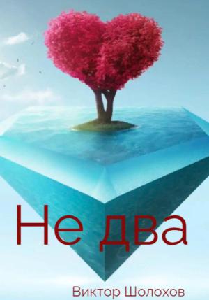 Обложка книги «Не два» — Виктор Шолохов