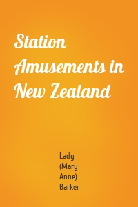 Station Amusements in New Zealand
