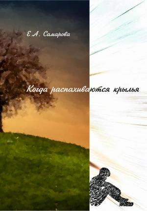 Обложка книги «Когда распахиваются крылья» — Екатерина Самарова, Денис Давиденко