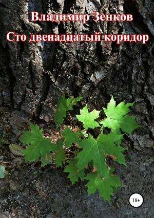 Обложка книги «Сто двенадцатый коридор» — Владимир Зенков