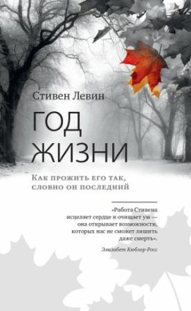 Обложка книги «Год жизни. Как прожить его так, словно он последний» — Стивен Левин