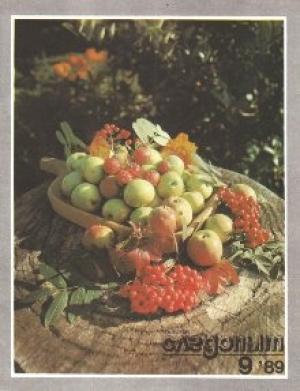 Обложка книги «Вова на планете Тарарум» — Герман Дробиз
