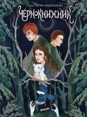 Обложка книги «Чернокнижник» — Анастасия Андрианова