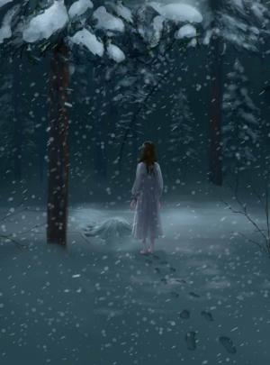 Обложка книги «Северные истории. Книга II. Потерянная жена (СИ)»