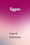 Сергей Лейченко - Будни