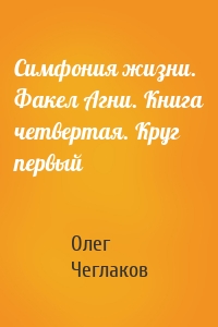 Симфония жизни. Факел Агни. Книга четвертая. Круг первый