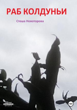 Обложка книги «Раб колдуньи» — Стеша Новоторова