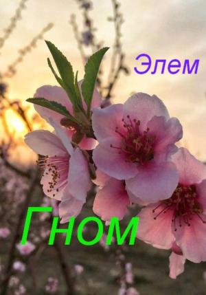 Обложка книги «Гном» — Элем