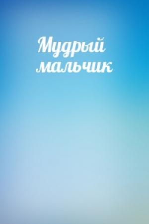 Обложка книги «Мудрый мальчик»