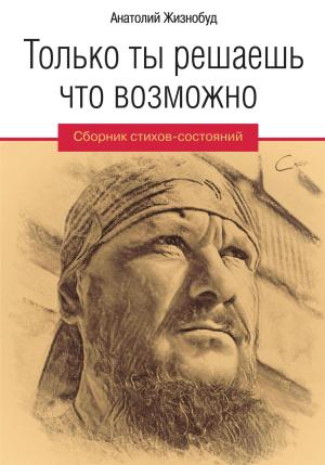 Обложка книги «Только ты решаешь что возможно. Сборник стихов-состояний» — Анатолий Жизнобуд