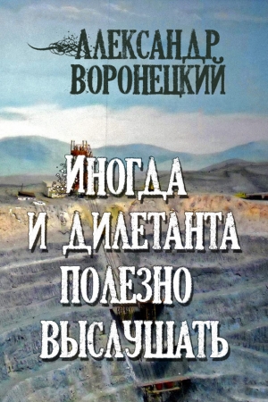 Обложка книги «Иногда и дилетанта полезно выслушать» — Александр Воронецкий
