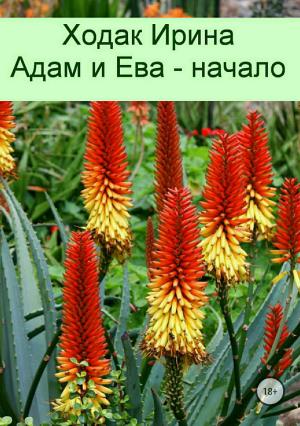 Обложка книги «Адам и Ева – начало» — Ирина Ходак