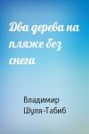 Владимир Шуля-Табиб - Два дерева на пляже без снега