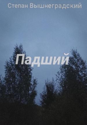 Обложка книги «Падший» — Степан Вышнеградский