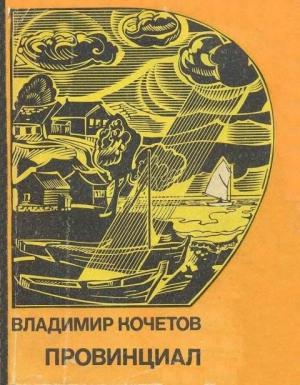 Обложка книги «Провинциал» — Владимир Кочетов