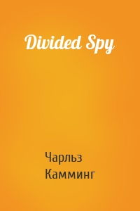 Divided Spy