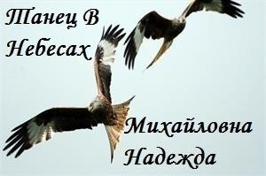 Обложка книги «Танец В Небесах [СИ]» — Надежда Михайловна