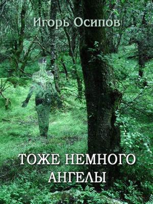 Обложка книги «Тоже немного ангелы» — Игорь Осипов