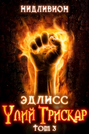 Обложка книги «Эдлисс. Инициация. Книга третья.» — Нидливион