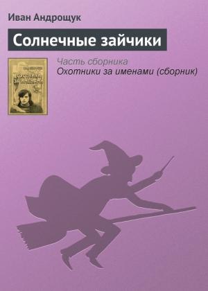 Обложка книги «Солнечные зайчики» — Иван Андрощук