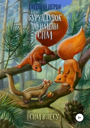 Обложка книги «Бурундучок по имени Сим. Сим в лесу» — Евгений Перов