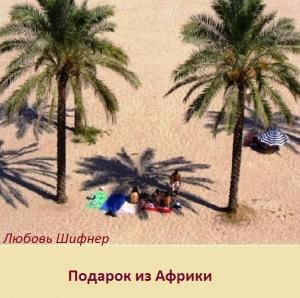 Обложка книги «Подарок из Африки (СИ)» — Любовь Шифнер