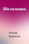 Леонид Ашкинази - Два камешка