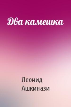 Обложка книги «Два камешка» — Леонид Ашкинази