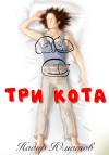 Надир Юматов - Три кота