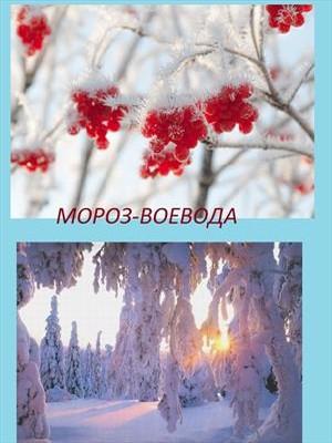 Обложка книги «Мороз Воевода (СИ)» — Надежда Михайловна