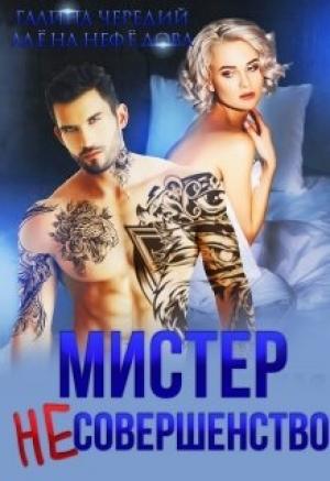 Обложка книги «Мистер Несовершенство» — Галина Чередий