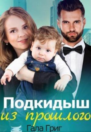 Обложка книги «Подкидыш из прошлого (СИ)» — Гала Григ