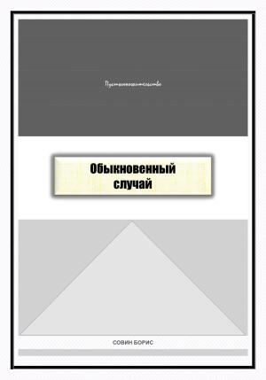 Обложка книги «Обыкновенный случай» — Борис Совин