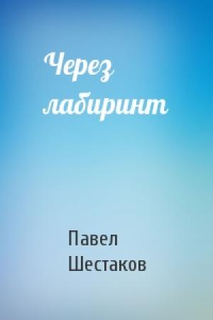 Обложка книги «Через лабиринт» — Павел Шестаков