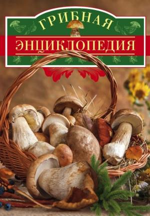 Обложка книги «Грибная энциклопедия» — Вадим Арчер