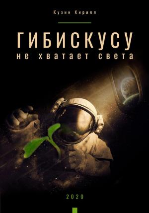 Обложка книги «Гибискусу не хватает света» — Кирилл Кузин