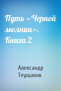 Путь «Черной молнии». Книга 2