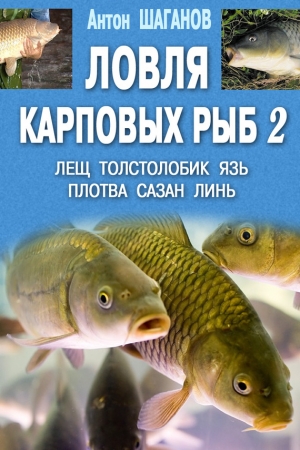 Обложка книги «Ловля карповых рыб 2» — Антон Шаганов