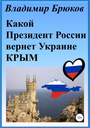 Обложка книги «Какой президент России вернет Украине Крым» — Владимир Брюков