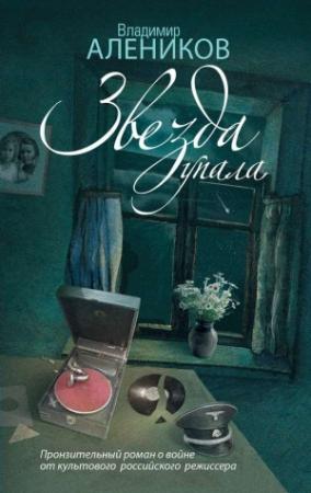 Обложка книги «Звезда упала» — Владимир Алеников