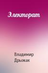 Владимир Дрыжак - Электорат