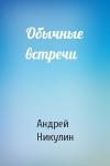 Андрей Никулин - Обычные встречи