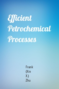 Efficient Petrochemical Processes