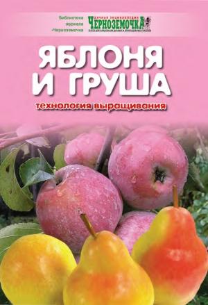 Обложка книги «Яблоня и груша. Технология выращивания» — А. Панкратова