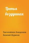 Пантелеймон Анищенков, Василий Шуринов - Третья воздушная