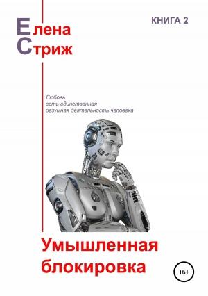 Обложка книги «Умышленная блокировка» — Елена Стриж