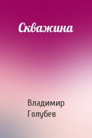 Обложка книги «Скважина» — Владимир Голубев