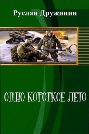 Обложка книги «Одно короткое лето (СИ)» — Руслан Дружинин